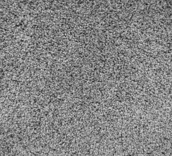 Expressive Flooring Carpet Flooring